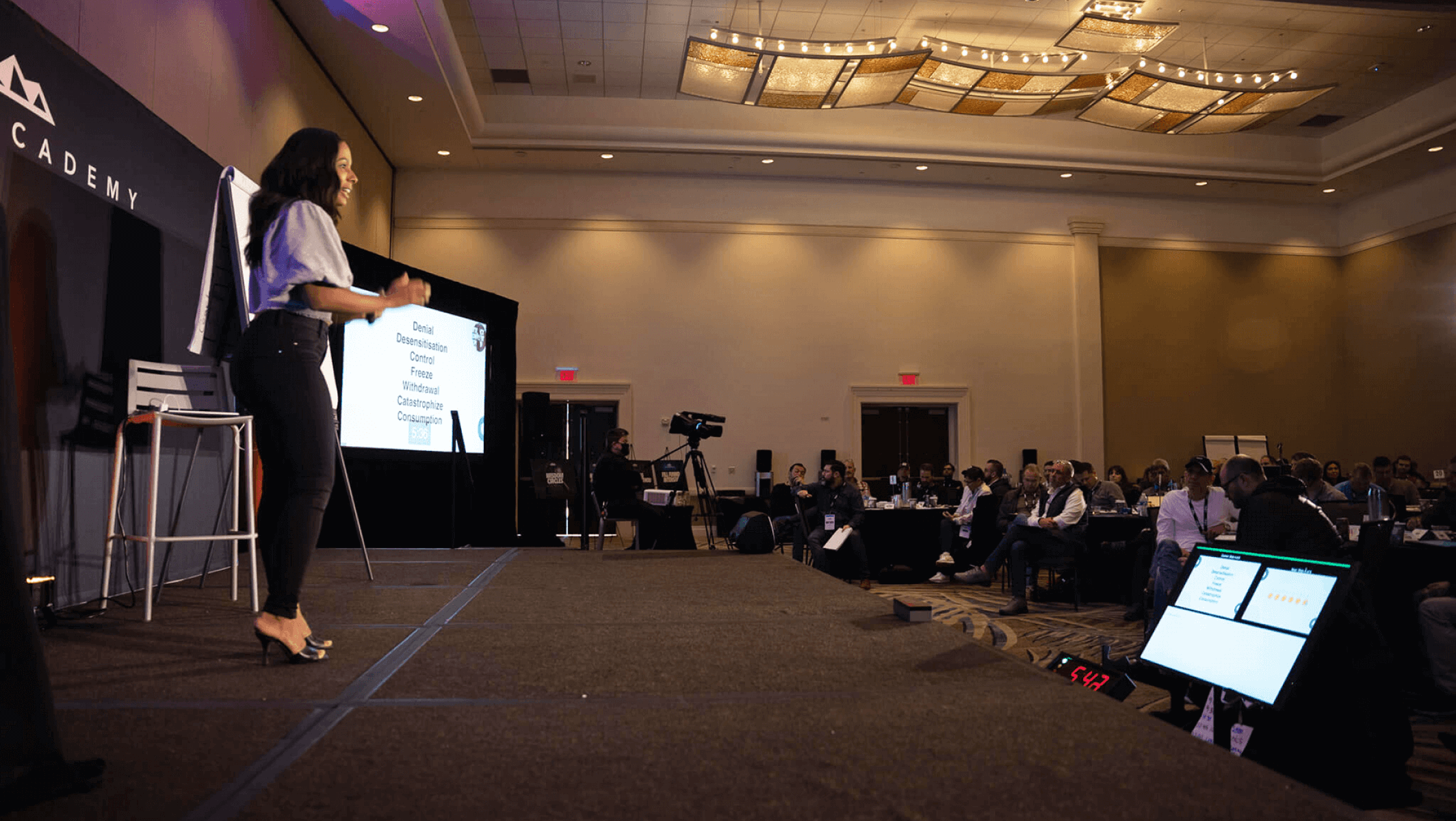 A woman presents to a conference room