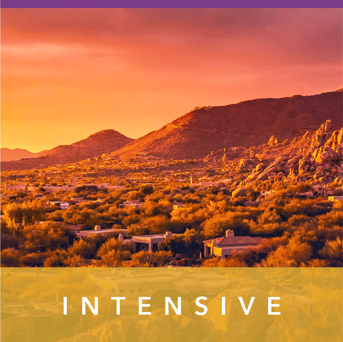 SaaS Academy Intensive