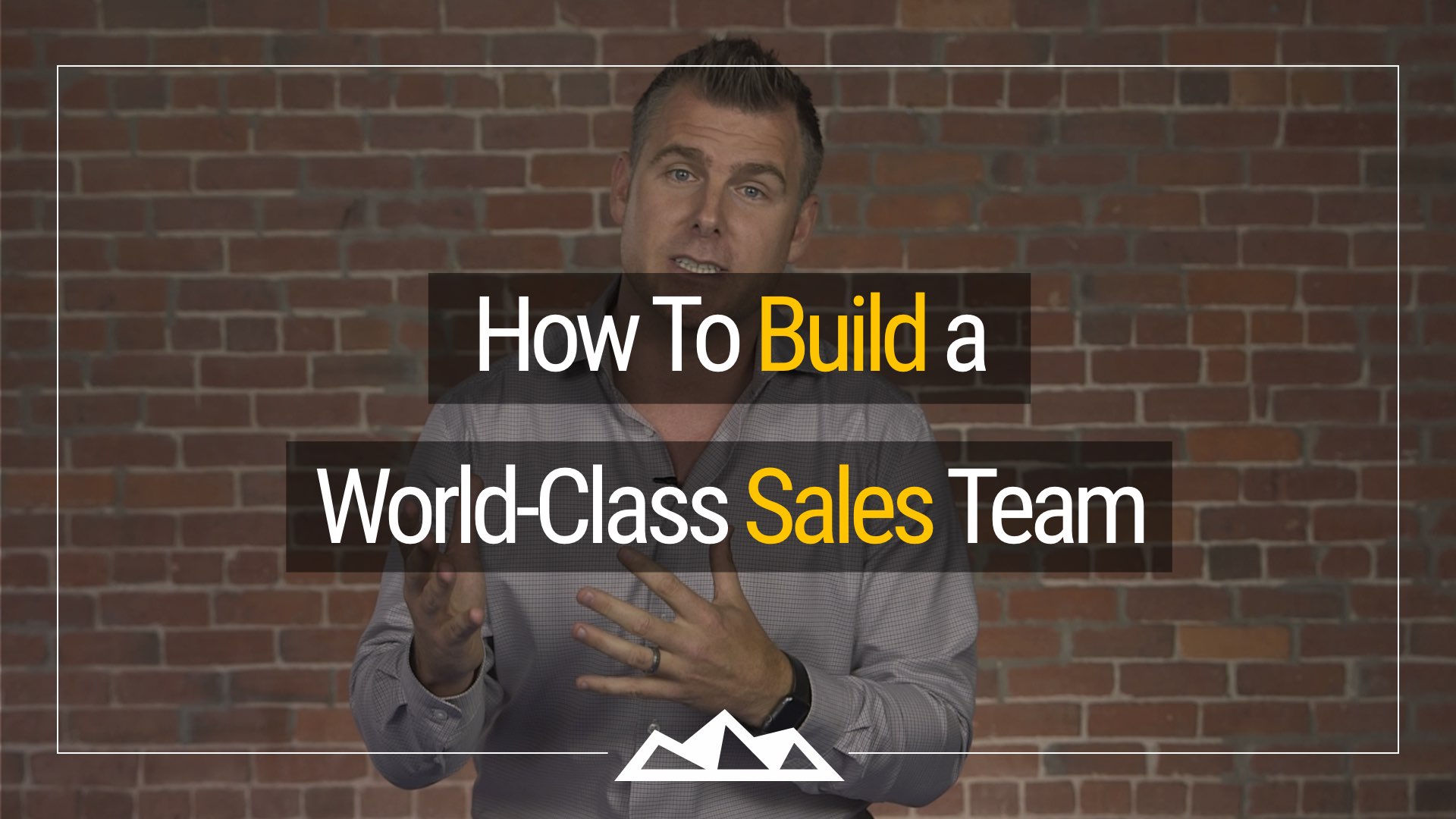 The 4 Roles of a Sales Team