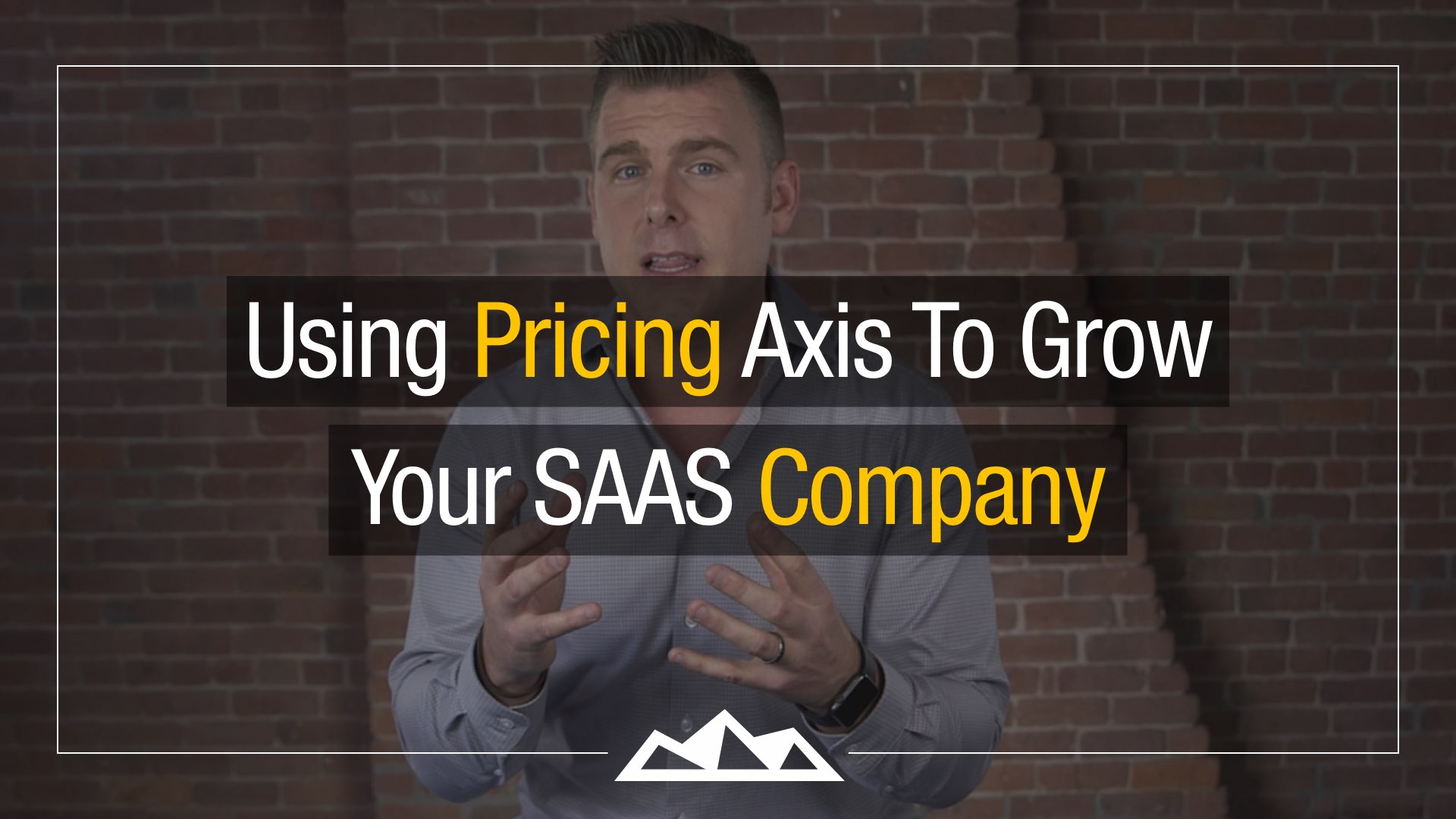 Using Pricing Axis To Grow Your SaaS Company’s Revenue
