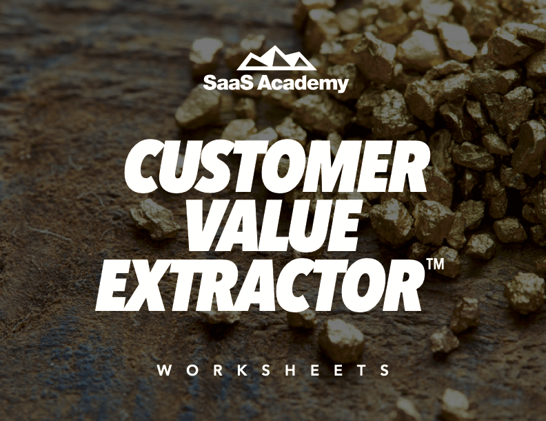 Worksheet - Customer Value Extractor™