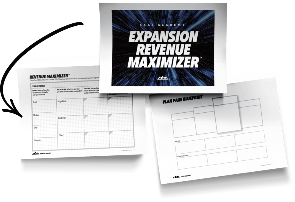 mockup-expansion-revenue-maximizer-web