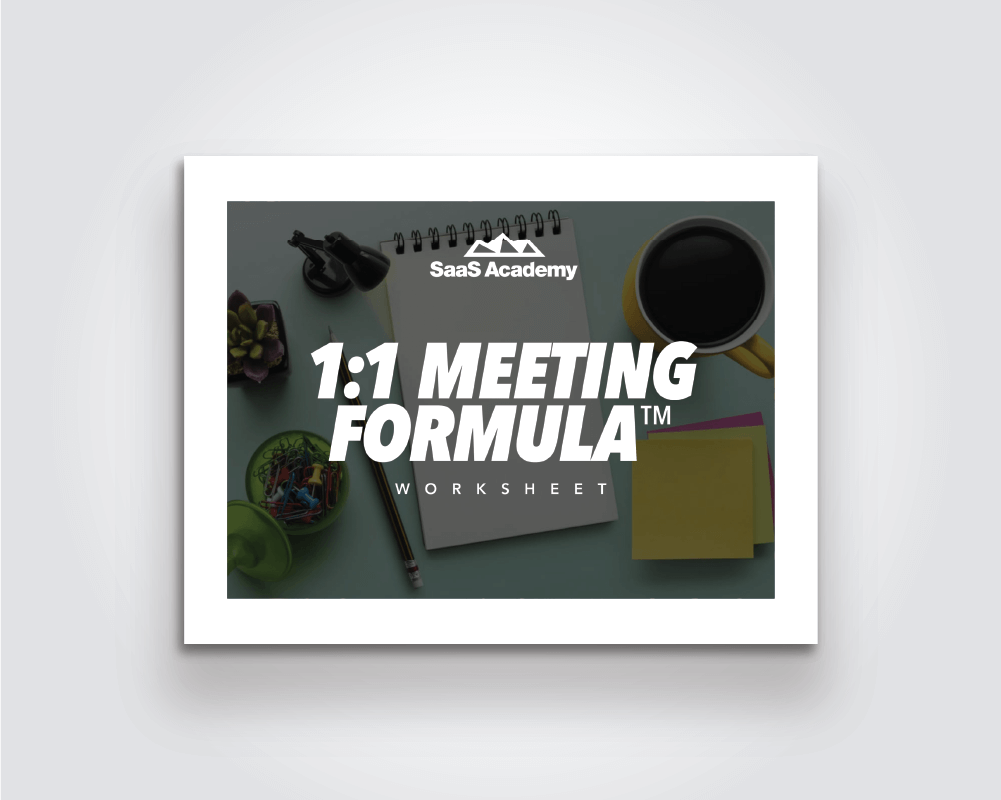 1:1 Meeting Formula™