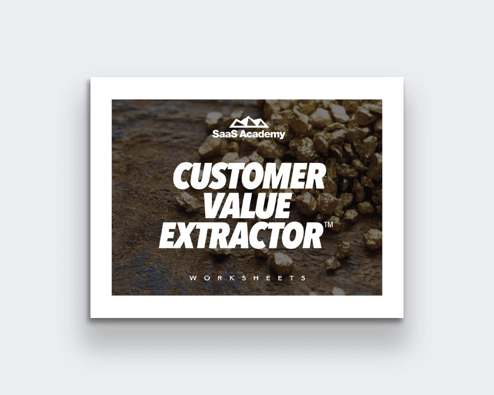 Customer Value Extractor™